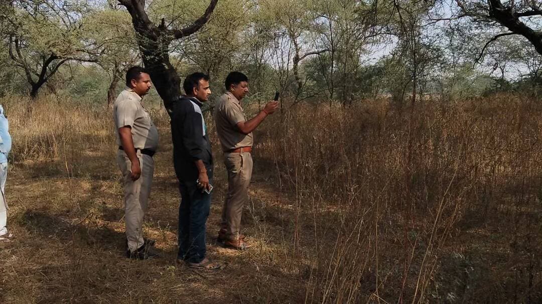 लोहारू: लोहारू में वन विभाग की जमीन पर वृद्ध का फांसी लगाकर आत्महत्या
