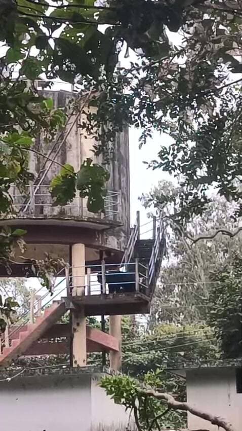 नगरी: बिरगुड़ी में भालू पानी टंकी में चढ़ा, वन अमले ने सुरक्षित निकाल किया