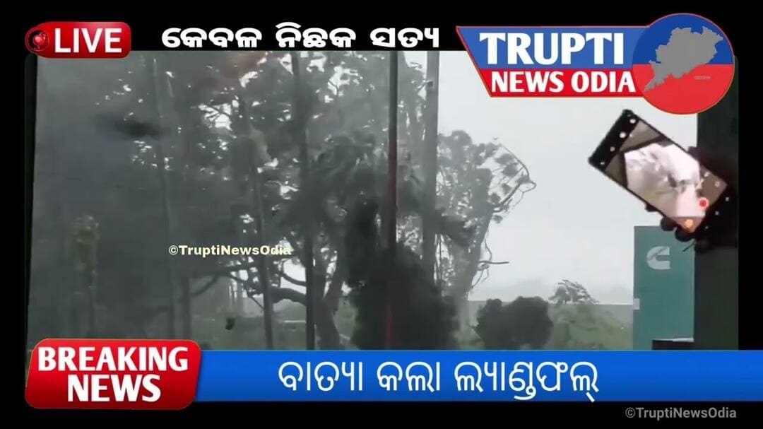 ବାତ୍ୟା କଲା ଲ୍ୟାଣ୍ଡଫଲ୍ l