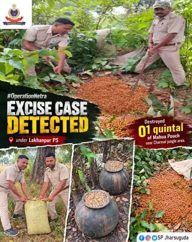 ଝାରସୁଗୁଡା: ଝାରସୁଗୁଡ଼ା: ଚର୍ମାଲ ଜଙ୍ଗଲରେ ୧ କ୍ୱିଣ୍ଟାଲ ମହୁଲି ପୋଚ୍ ନଷ୍ଟ