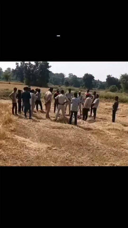 सिंमडारी में किसान के खेत में गड़ा मिला नीलगाय का नवजात, वन विभाग ने शव निकालकर शुरू की जांच