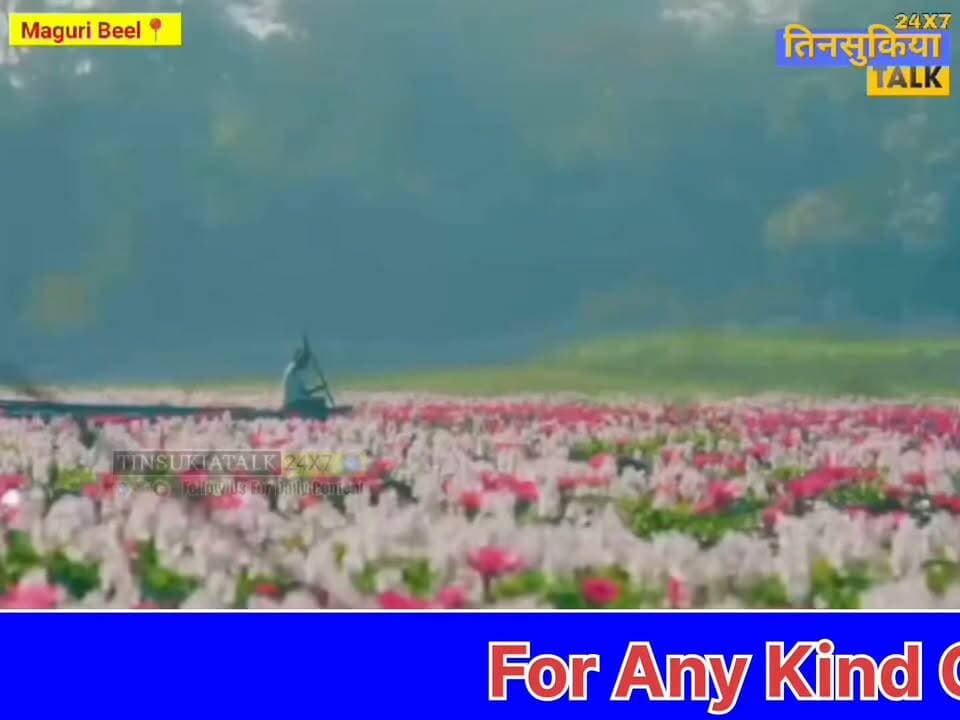 #NEWS|मागुरी बील, तिनसुकिया — प्रकृति और पक्षियों का खूबसूरत संसार !!
असम के प्रसिद्ध मागुरी-मोटापुंग बील बर्ड व्यू पॉइंट पर आइए और खूबसूरत प्राकृतिक नज़ारों, रोमांचक बोटिंग तथा दुर्लभ पक्षियों को करीब से देखने का आनंद लीजिए।
📍 स्थान: मागुरी बील, तिनसुकिया, असम
📞 बोटिंग एवं बर्डवॉचिंग बुकिंग: +91 91013 69710
#MaguriBeel #Tinsukia #AssamTourism #BirdWatching #Boating #ExploreAssam #NatureLovers
