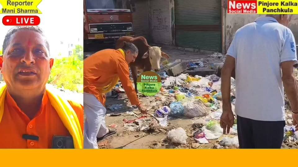 पिंजौर न्यू मॉडल टाउन में सार्वजनिक स्थान पर कूड़ा न फेंकने की अपील: पंडित राम कुमार शर्मा।
Like /comment /share / follow instagram and you tube subscribe
https://nsmpkp.com News Social Media Pinjore Kalka Panchkula Reporter mani Pinjore / kalka 27-10-2026,
my E-mail:manisharma4009@ gmail.com what's app no:-9896944009
https://youtu.be/13dnUwgB_o4?si=Ilm4UIcYNrzz8wYJ
https://www.instagram.com/reel/De_wKj5BkHA/?obrf=M3J5OWZ1Y3pzaGY0