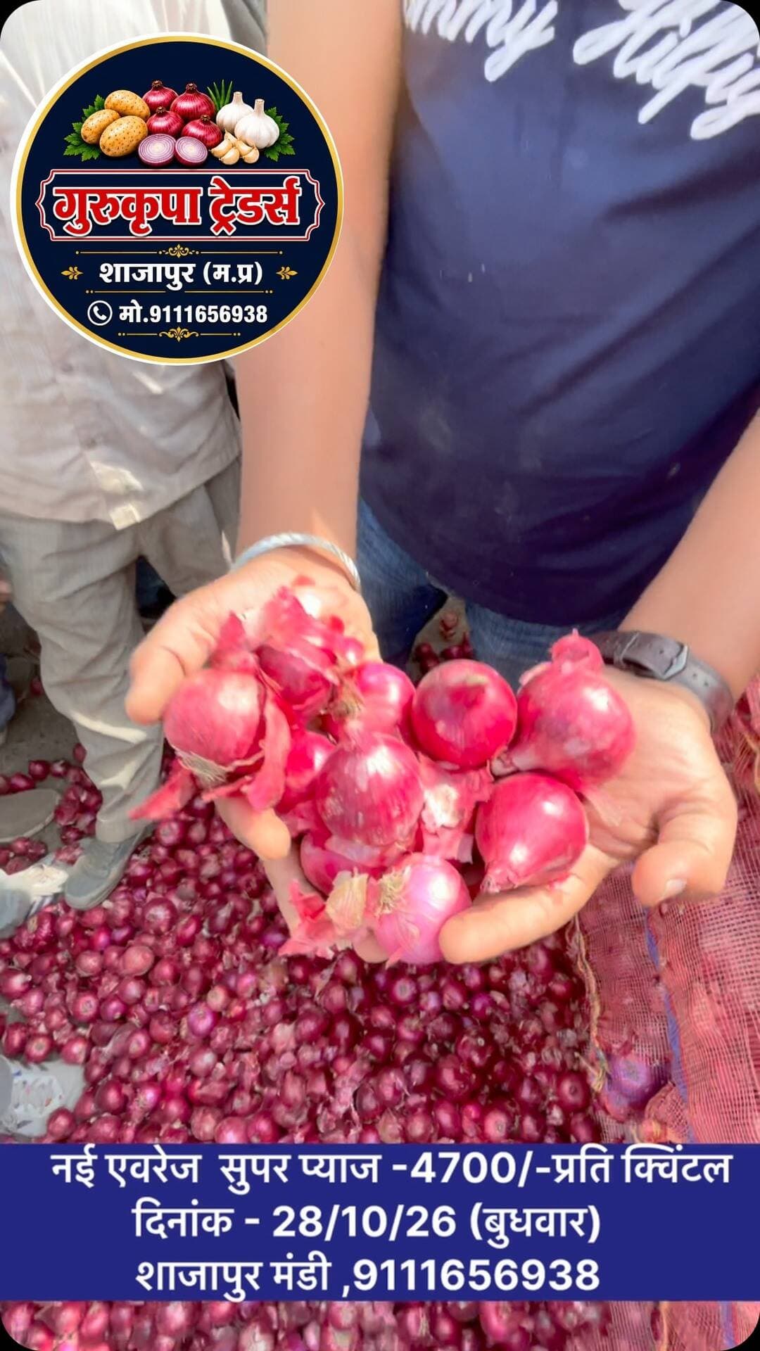 #indoremandibhav #ujjainmandibhav #delhifruitmarket #shajapurmandi
