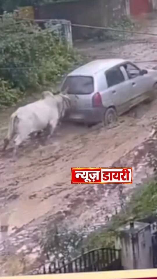 कोई तो मददगार मिला