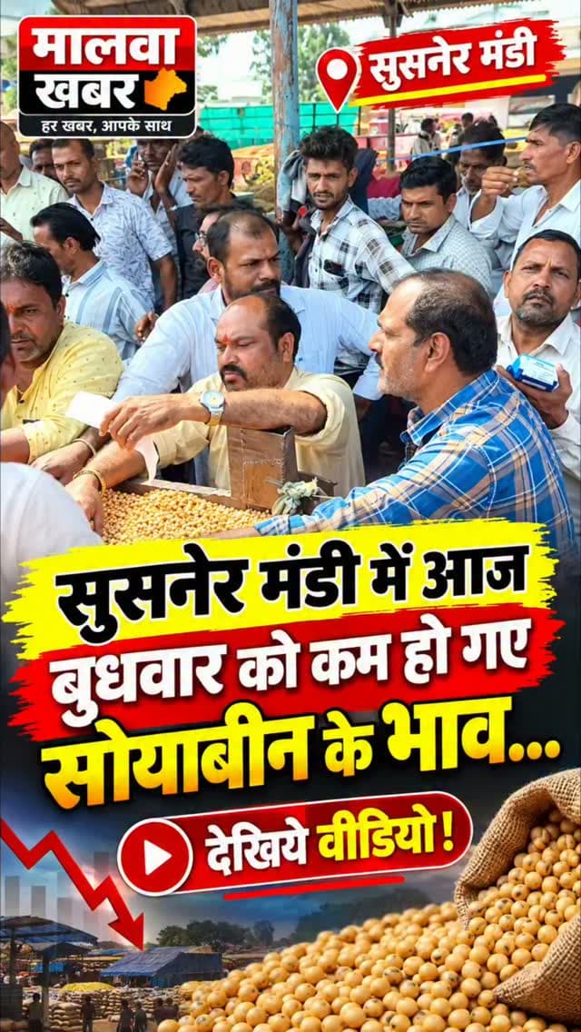 सुसनेर मंडी में आज बुधवार को क्यो कम हो गए सोयाबीन के भाव...देखिये वीडियो!