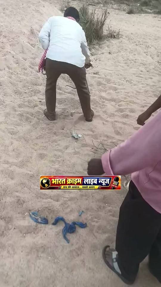 यह वही सांप है जो पति पत्नी को डस लिया जिससे दोनों का जान चली गई।