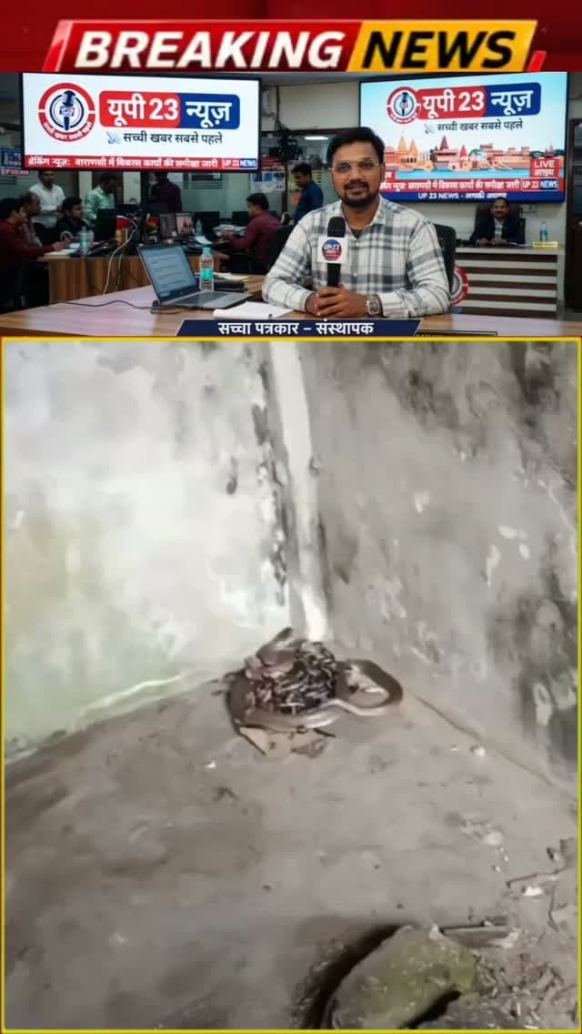 हाल ही में सोशल मीडिया पर एक वीडियो वायरल हुआ है जिसमें एक पुराने चाय के गोदाम में दर्जनों सांप (सँपोलों/कोबरा) का बसेरा मिलने से हड़कंप मच गया।
घटना: रेस्क्यू ऑपरेशन के दौरान एक सांप फन फैलाकर बैठा हुआ दिखाई दिया और पास जाने पर डसने की कोशिश करता रहा।
सावधानी: गोदाम में इतनी बड़ी संख्या में सांपों की मौजूदगी के चलते रेस्क्यू टीम को बेहद सावधानी से काम करना पड़ा।
वायरल वीडियो: इस घटना के वीडियो इंस्टाग्राम और फेसबुक पर काफी शेयर किए जा रहे हैं।
क्या आप इस घटना या किसी खास जगह के बारे में विस्तृत जानकारी (जैसे शहर या स्थान का नाम) जानना चाहते हैं? इससे मैं आपको सटीक जानकारी दे सकूँगा।
चाय के पुराने गोदाम में मिले दर्जनों सांप, मचा हड़कंप! चाय के एक पुराने गोदाम में दर्जनों सांप ...
23 Oct 2026 — चाय के पुराने गोदाम में मिले दर्जनों सांप, मचा हड़कंप! चाय के एक पुराने गोदाम में दर्जनों सांप मिलने से अफरा-तफरी मच गई। रेस्क्यू के दौरान एक सांप ने फन फैल�