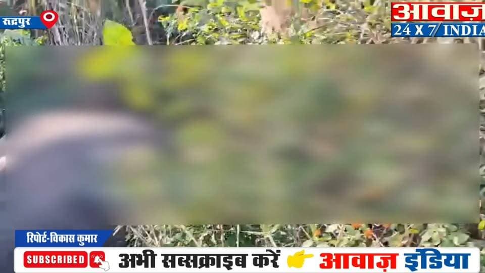 पंतनगर- हल्दी रेलवे ट्रैक पर दर्द#नाक हा#दसा, बाघ एक्सप्रेस की चपेट में आकर नर हाथी की मौत - दांत टूटकर दूर गिरा