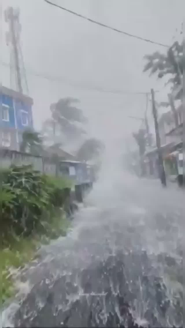 चित्तौड़गढ़ नगर परिषद के वार्ड 18 और 34 के चुनाव को लेकर कानूनी चुनौती, दो निर्वाचित पार्षदों के निर्वाचन को निरस्त करने की मांग; 30 नवंबर को अगली सुनवाई