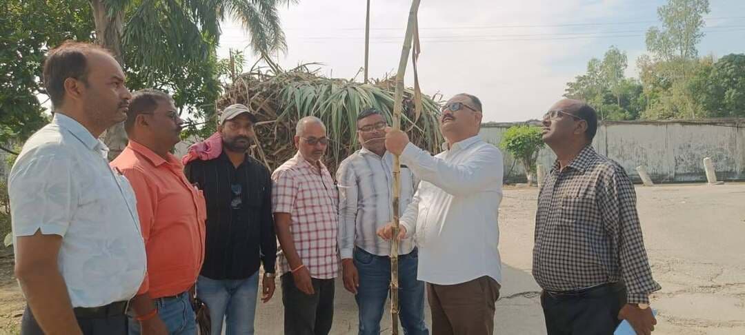 #News : बजाज चीनी मिल रुधौली में उन्नत बीज वितरण कार्यक्रम संपन्न; किसानों को मिले उच्च गुणवत्तापूर्ण बीज
बस्ती: बजाज चीनी मिल रुधौली के प्रांगण में किसानों की आय बढ़ाने और गन्ने की बंपर पैदावार सुनिश्चित करने के उद्देश्य से एक विशेष बीज वितरण कार्यक्रम का आयोजन किया गया। इस कार्यक्रम के दौरान क्षेत्र के दूर-दराज से आए सैकड़ों किसानों को गन्ने की उन्नत प्रजाति Co 20016 के रोग-प्रतिरोधी बीज वितरित किए गए, जिससे किसानों में भारी उत्साह देखने को मिला।
कार्यक्रम का संचालन मिल के वरिष्ठ अधिकारियों की देखरेख में बेहद व्यवस्थित रूप से संपन्न हुआ। इस अवसर पर मुख्य रूप से इकाई प्रमुख (यूनिट हेड) डॉ. जेपी त्रिपाठी, महाप्रबंधक गन्ना श्री लवकुश सिंह चौहान और सीनियर गन्ना अधिकारी श्री बाल सिंधु पांडे गगन उपस्थित रहे। इन सभी गणमान्य अधिकारियों ने अपने हाथों से किसानों को बीज वितरित किए और उन्हें खेती से जुड़ी जरूरी तकनीकी सलाह भी दी।
कार्यक्रम के दौरान मिल के मुख्य गेट से लेकर बीज वितरण सेंटर तक एक बेहद अनुशासित और उत्साहपूर्ण माहौल नजर आया। गेट पर ही किसानों के स्वागत और उनकी सुविधा के लिए विशेष इंतजाम किए गए थे, जहाँ से कर्मचारियों द्वारा किसानों को कतारबद्ध तरीके से बीज वितरण सेंटर तक पहुँचाया गया। गेट से सेंटर तक के पूरे मार्ग पर किसानों के मार्गदर्शन के लिए सहायता डेस्क और बैनर-पोस्टर लगाए गए थे, जिससे किसानों को अपना बीज प्राप्त करने में किसी भी प्रकार की असुविधा का सामना नहीं करना पड़ा।
बीज वितरण सेंटर पर किसानों को संबोधित करते हुए इकाई प्रमुख (यूनिट हेड) डॉ. जेपी त्रिपाठी ने कहा कि बजाज चीनी मिल रुधौली हमेशा से क्षेत्र के किसानों के उत्थान और उनकी आर्थिक मजबूती के लिए कटिबद्ध है। उन्होंने किसानों से अपील करते हुए कहा कि वे पारंपरिक तरीकों के साथ-साथ वैज्ञानिक तकनीकों और Co 20016 जैसी उन्नत बीजों की वैरायटी को अपनाकर अपनी पैदावार को कई गुना बढ़ा सकते हैं। उन्होंने आश्वस्त किया कि मिल प्रबंधन किसानों की हर समस्या के समाधान और उनके विकास के लिए हमेशा उनके साथ खड़ा है।
इस दौरान महाप्रबंधक गन्ना लवकुश सिंह चौहान और सीनियर गन्ना अधिकारी बाल सिंधु पांडे गगन ने भी किसानों को समय पर खाद, पर्ची और तकनीकी मार्गदर्शन की जानकारी दी। मिल प्रबंधन के इस सराहनीय प्रयास से किसानों में खुशी की लहर दौड़ गई और सभी ने इस पहल की भूरी-भूरी प्रशंसा की।