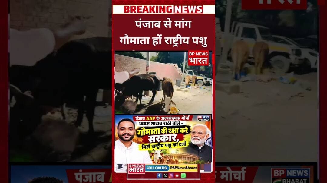 पंजाब चुनाव से पहले AAP नें उठाया बड़ा मुद्दा, शादाब राठी की बड़ी मांग #aap #kejriwal #modi #viral