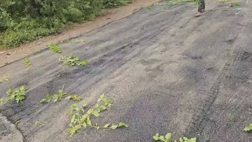 चित्रकूट के एमपी परिक्षेत्र मे चल रहे सड़क मरम्मतीकरण के कार्य में बरती जा रही भारी अनियमितता, कीचड़ मे डामरीकरण का कार्य कर किया जा रहा खानापूर्ति , राजौला कामतन बायपास का मामला