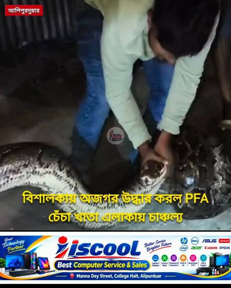 #BREAKING 'অ' তে অজগর আসছে তেড়ে, বিশালকায় দেখুন, জংশন চেঁচাখাতা এলাকা থেকে উদ্ধার করল PFA
#Python #BTR #alipurduardistrict #snakerescue #highlightseveryone