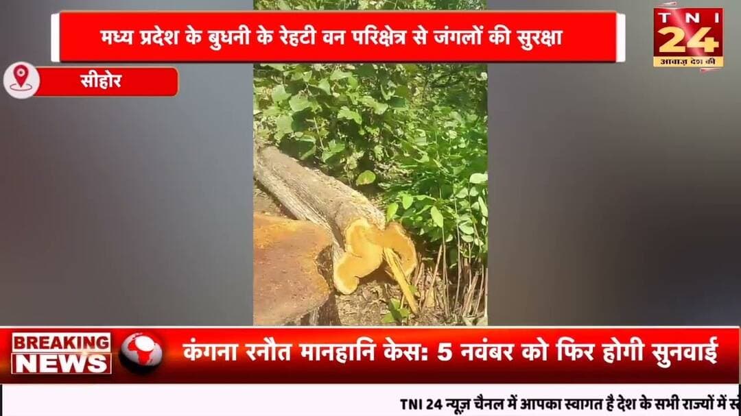 रेहटी के जंगल में सागौन की अवैध कटाई! ढाबा बीट में मिले कई कटे हुए पेड़ों के ठूंठ