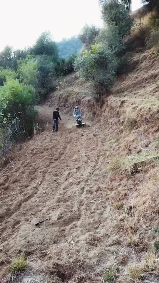 🚜🌾 आज खेत में खुद आजमाया ट्रैक्टर चलाने का हुनर! 💪🔥TractorDriving #खेतीबाड़ी #खेतकीगुड़ाई #किसान #पहलीकोशिश #गांवकीजिंदगी PahadiLife HimachalPradesh VillageLife FarmingLife TractorLovers InstagramReels ReelsIndia ViralReels KakuKhokhar