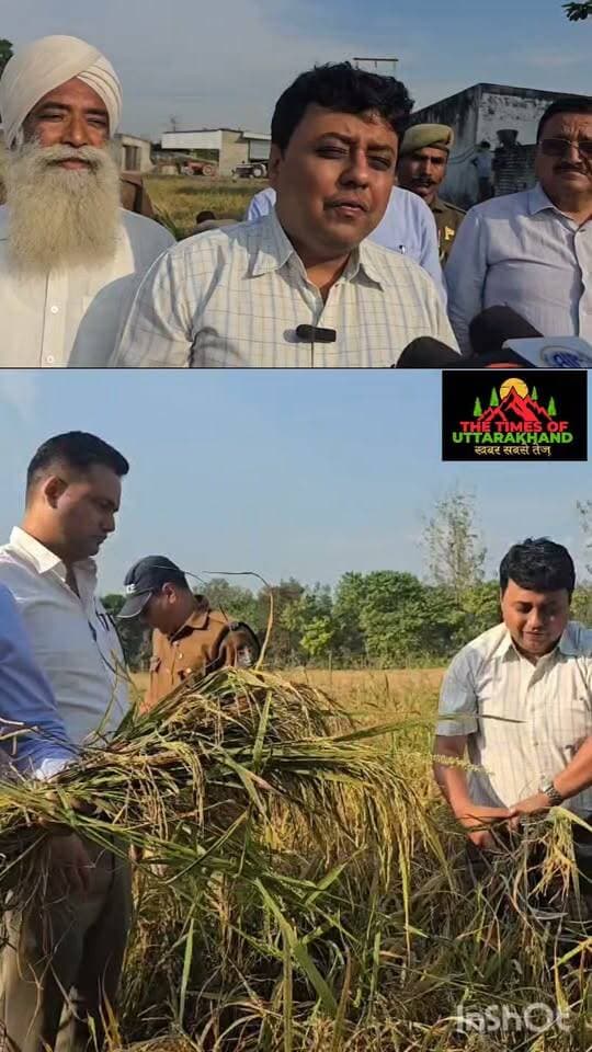 #DM नितिन भदोरिया ने खुद काटे #धान! 40 क्विंटल #प्रति हेक्टेयर उपज का #आकलन
📍#रुद्रपुर, ऊधम सिंह नगर।
जिलाधिकारी #नितिन सिंह भदौरिया ने जयनगर नंबर-3 में खेत पर पहुंचकर धान की क्रॉप कटिंग का निरीक्षण किया और स्वयं धान काटकर प्रयोग का शुभारंभ किया..
DM Udham Singh Nagar Udham Singh Nagar Pol