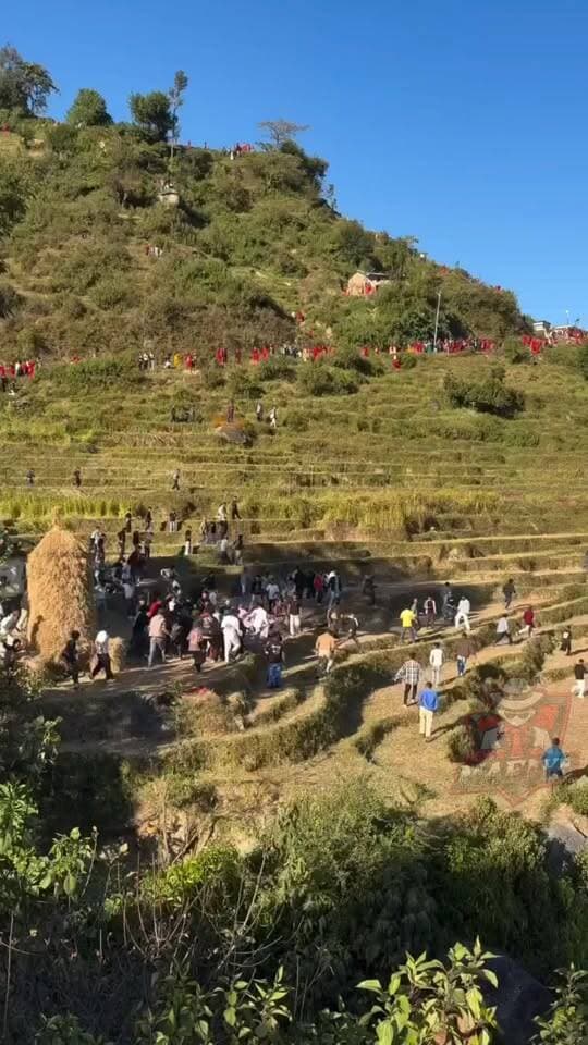 🚨खेतों के रास्ते गैरसैंण-भराड़ीसैंण की ओर कूच, सड़कों की जगह खेतों से निकले आंदोलनकारी!
#Uttarakhand #UKD #Chamoli #Gairsain #ViralReel #PostOfTheDay #newsmafiya