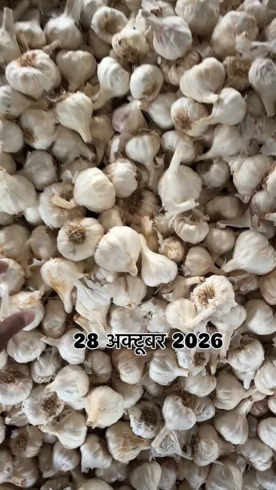 #viralreels #viralreelsvideo #trending #reelkarofeelkaro #mandibhavkalapipal