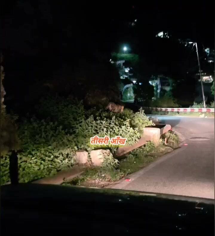 पौड़ी में कब्रिस्तान के सामने दिखा गुलदार, वीडियो सोशल मीडिया पर वायरल।
पौड़ी। शहर में कब्रिस्तान के सामने गुलदार दिखाई देने का मामला सामने आया है। गुलदार का वीडियो सोशल मीडिया पर वायरल हो रहा है, जिसके बाद क्षेत्र में वन्यजीव की मौजूदगी को लेकर चर्चा हो रही है। हालांकि, गुलदार कब और किस स्थान पर दिखाई दिया, इसकी विस्तृत जानकारी सामने नहीं आई है।