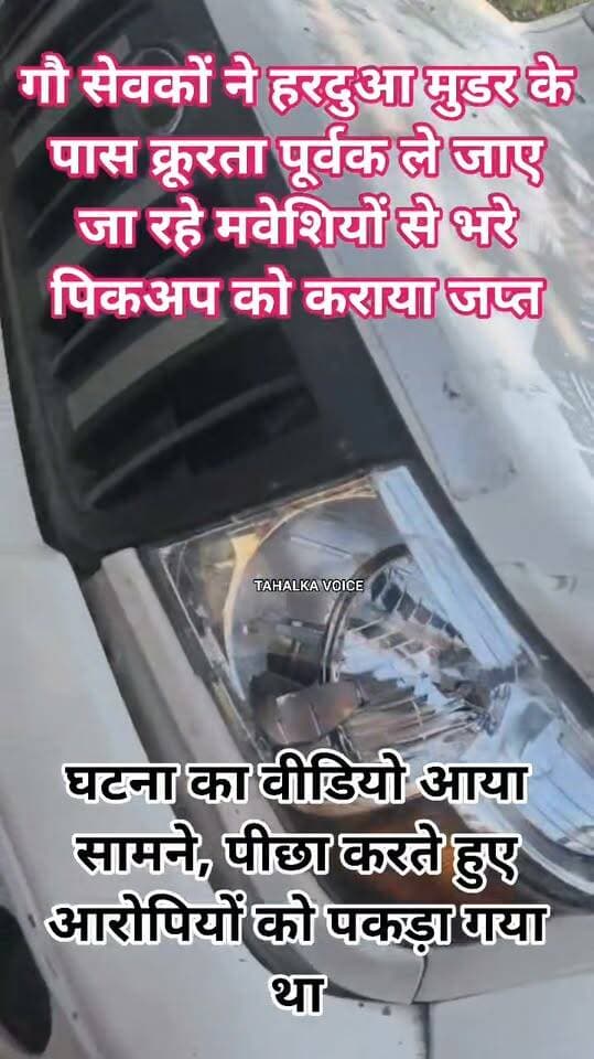 सुहेला के पास क्रूरता से भैंसों का परिवहन, ग्रामीणों और गौ रक्षकों ने हरदुआ मुडर के पास वाहन को पीछा कर रोका, वीडियो आया सामने
वाहन में दर्द से तड़पती मिली भैंस, मवेशियों के शरीर पर घाव के निशान; हिंडोरिया थाना क्षेत्र का मामला
दमोह। जिले के हिंडोरिया थाना क्षेत्र में सुहेला के पास भैंसों के कथित क्रूरतापूर्वक परिवहन का मामला सामने आया है। ग्रामीणों और गौ रक्षकों ने संदिग्ध वाहन को रोककर मवेशियों की स्थिति देखी। वाहन में एक भैंस दर्द से तड़पती मिली, जबकि मवेशियों के शरीर पर घाव के निशान भी दिखाई दिए।
जानकारी के अनुसार, वाहन में भैंसों को ले जाया जा रहा था। इसी दौरान ग्रामीणों और गौ रक्षकों को परिवहन के तरीके पर संदेह हुआ। उन्होंने सुहेला के पास वाहन को रोक लिया। बताया जा रहा है कि वाहन रोकने पर उसमें सवार लोगों ने मौके से भागने का प्रयास किया।
घटना के सामने आने के बाद क्षेत्र में चर्चा शुरू हो गई। मवेशियों की स्थिति को देखते हुए उनके परिवहन के तरीके पर सवाल उठ रहे हैं। मामले में वाहन में सवार लोगों की भूमिका और मवेशियों के परिवहन से संबंधित दस्तावेजों की जांच की जा रही है।