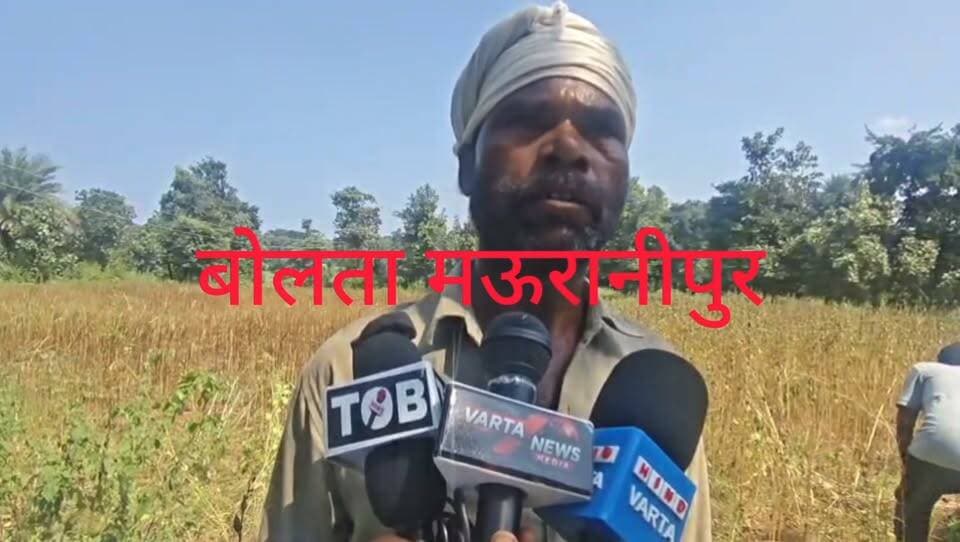 मऊरानीपुर कटेरा क्षेत्र के दलबदल मुहल्ले में तिली की फसल काटते समय बुजुर्ग मजदूर अचानक हुआ बेहोश