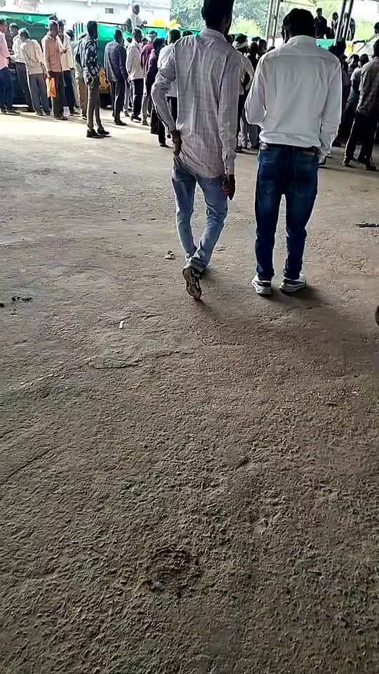 28/10/2026 pipariya mandi live dhaan bhav