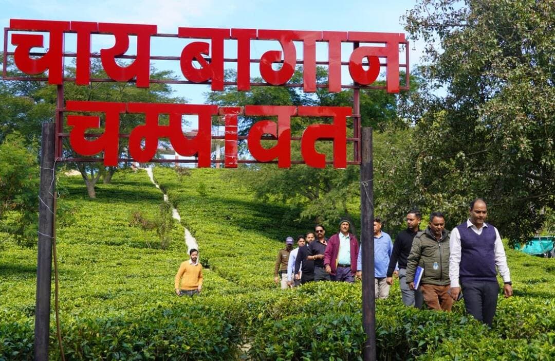 #champawat #teagarden