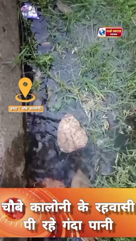 चौबे कालोनी नल की चाबी एक महीने से टूटी रहवासी पी रहे गंदा पानी नगर पालिका की लापरवाही #viral #shorts #reels #viralreels #reel