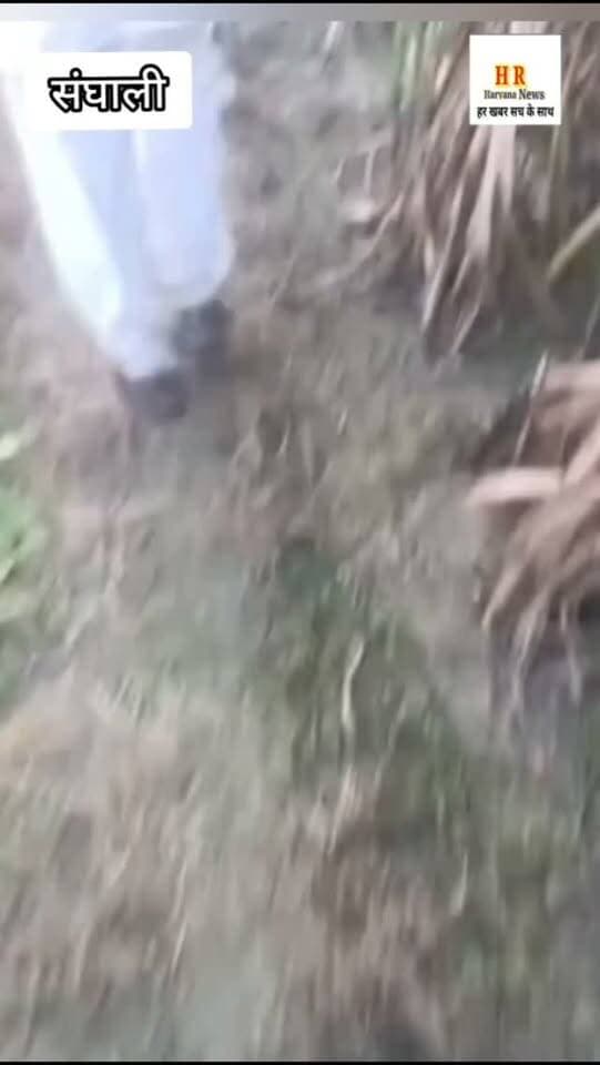 एक ही रात में आठ बिजली की मोटर चोरी,, किसानों में भारी रोष,, नहीं हो रही कोई करवाई #Yamunanagar #Rador