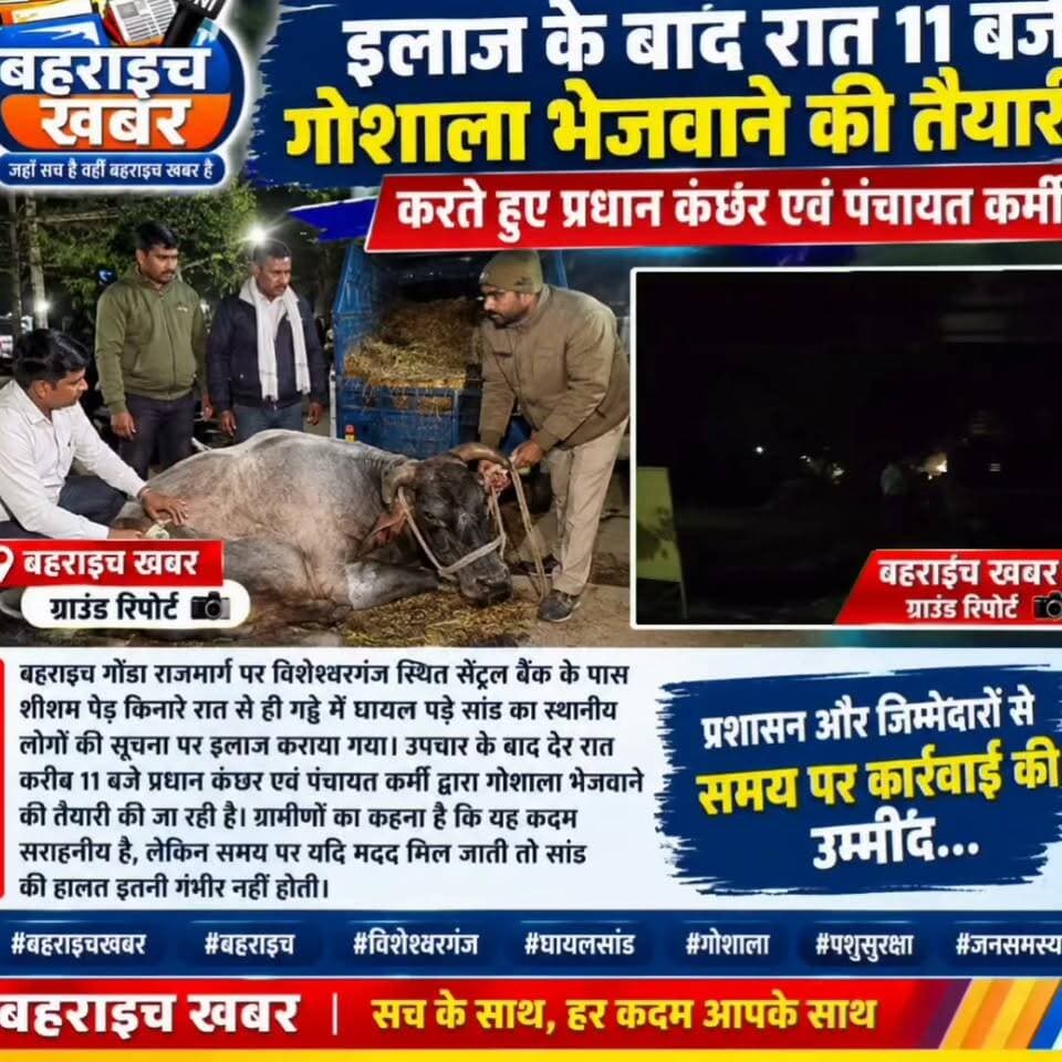 खबर का असर! इलाज के बाद घायल सांड को गौशाला भेजने की तैयारी, रात 11 बजे जुटे प्रधान व पंचायत कर्मी
#बहराइचखबर #बहराइच #विशेश्वरगंज #घायलसांड #गौशाला #पशुसेवा #बेजुबानकीमदद #प्रधानकंछर #पंचायतकर्मी #जनसेवा #BahraichNews #BahraichKhabar
UP Police DM office bahraich Bahraich Police