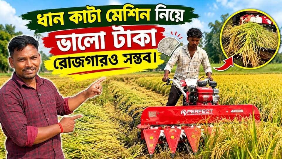 ধান কাটা মেশিন নিয়ে ভালো টাকা রোজগারও করুন | Reapear Harvester