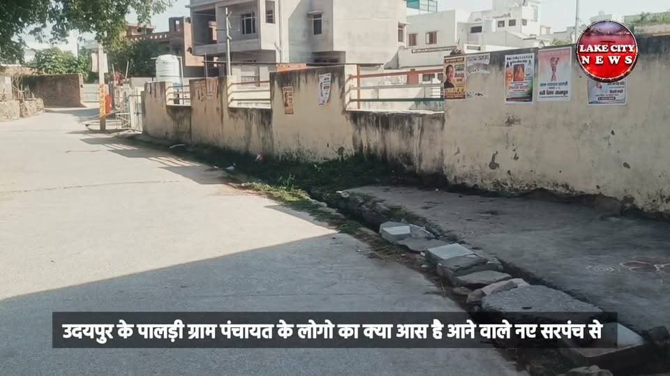 Udaipur जिले के पालड़ी ग्राम पंचायत के ग्रामीणों ने चुनाव को को लेकर क्या कहा...