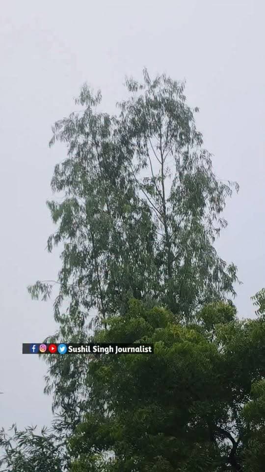 मऊ में चक्रवाती तूफान ‘अर्नब’ का असर, सुबह से हो रही बूंदाबादी
#maunews #MAU #weather