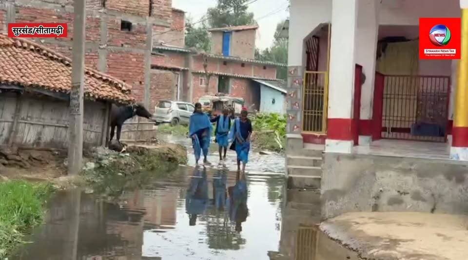 सुरसंड के पठनपुरा में बदहाली की हद! पानी हेलकर स्कूल जाने को मजबूर मासूम बच्चे, वर्षों से जलजमाव पर जिम्मेदार मौन!
#Sursand #SitamarhiNews #पठनपुरा #सुरसंड #बदहालसड़क #जलजमाव #मासूमबच्चे #स्कूलीबच्चे #ग्रामीणोंकीसमस्या #जनसमस्याएं #BiharNews #BiharBreakingNews #BNPUन्यूज़ #RKSoniJournalist