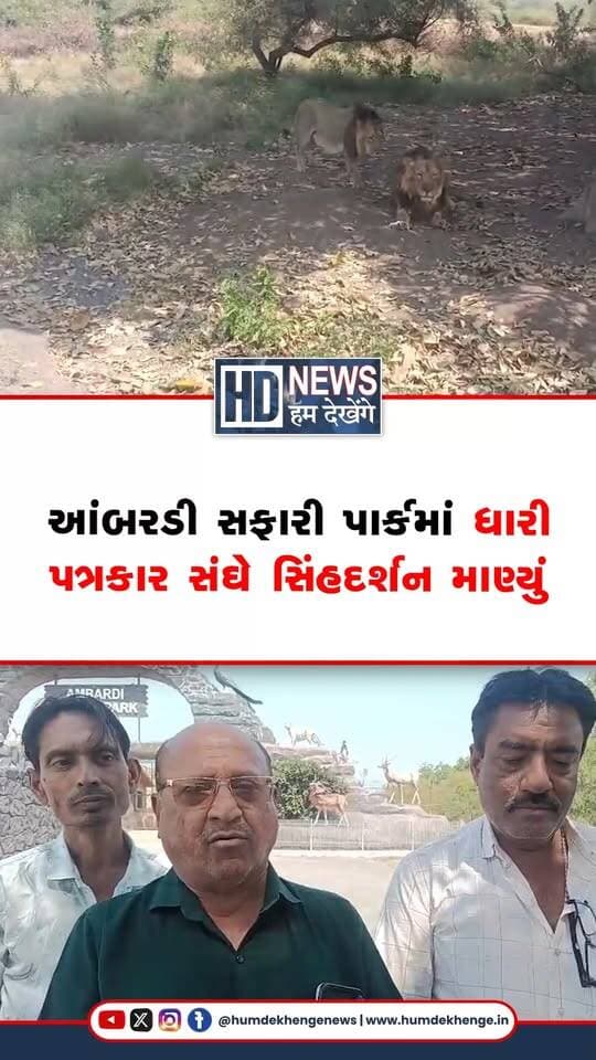 ધારી પત્રકાર સંઘના સભ્યોએ વનવિભાગના RFO સાહેબના આમંત્રણને માન આપી આંબરડી સફારી પાર્કની મુલાકાત લીધી હતી. આ દરમિયાન પત્રકાર મિત્રોએ ગીરના કુદરતી વાતાવરણમાં સિંહદર્શન સહિત વિવિધ વન્યજીવોને નિહાળવાનો આનંદ માણ્યો હતો. વનવિભાગ દ્વારા ભોજનની વ્યવસ્થા પણ કરવામાં આવી હતી. પત્રકાર સંઘે સુંદર આયોજન અને આતિથ્ય બદલ વનવિભાગનો આભાર વ્યક્ત કર્યો હતો.
#ambardisafaripark #dhari #girforest #wildlifesafari #humdekhengenews
