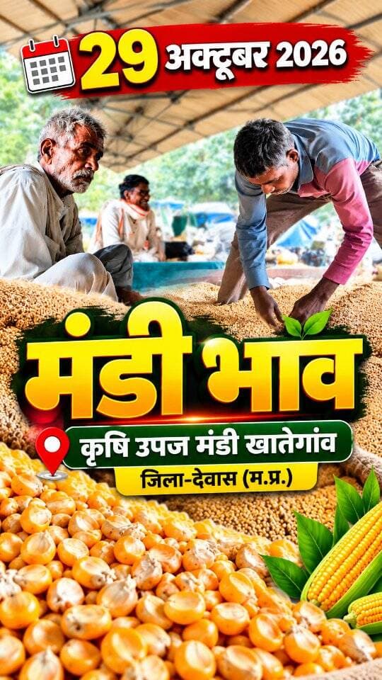 29 अक्टूबर 2026 | मंडी भाव | कृषि उपज मंडी खातेगांव, जिला-देवास (म.प्र.) khategaonwaale.com