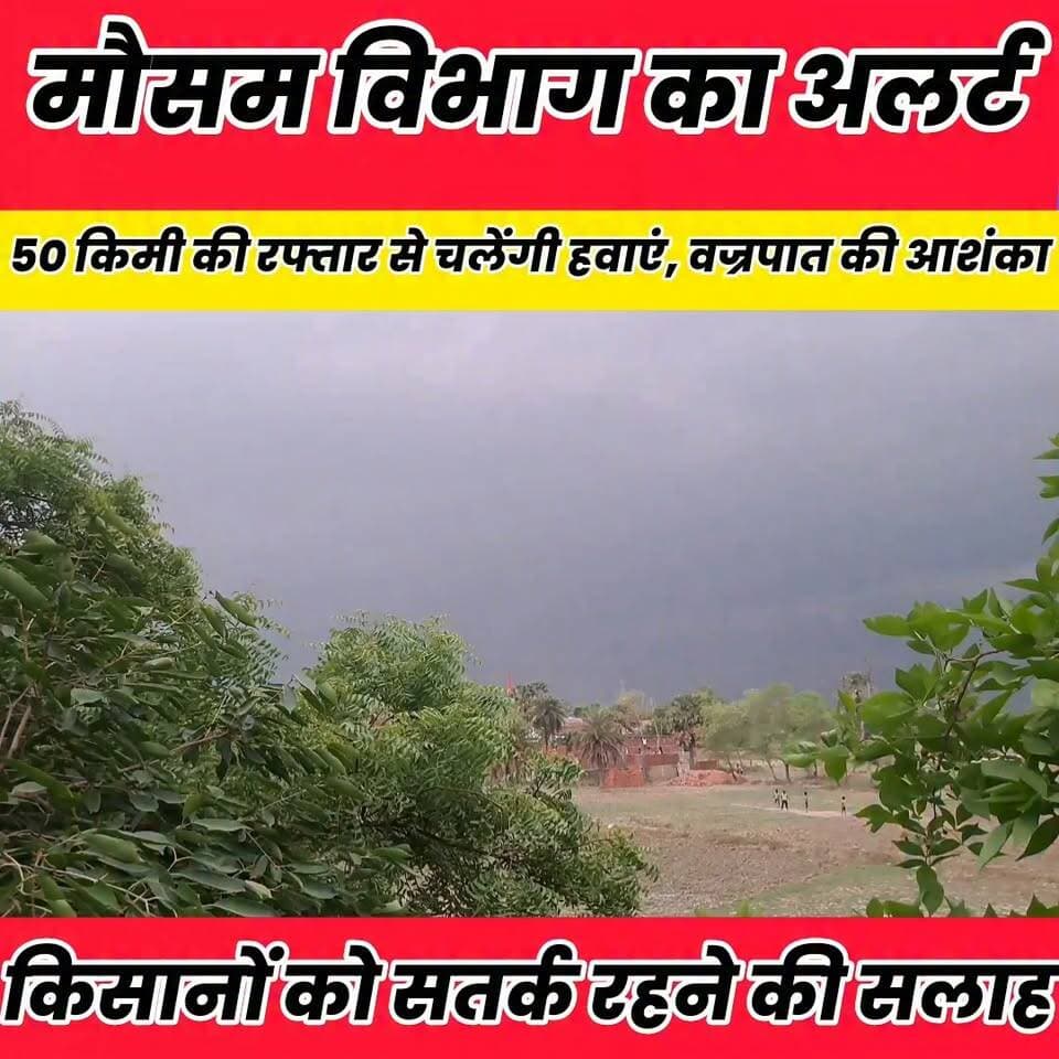 चक्रवात का असर: 30 अक्टूबर तक तेज आंधी-बारिश की संभावना, किसानों को सतर्क रहने की सलाह...
Sheikhpura Collectorate Sheikhpura Hunt New Randhir Kumar Soni DRCC Sheikhpura बात मनकौल गांव की Sheikhpura Police सनैया पंचयात News Bihar pk चोढदरगाह पंचायत की आवाज़ Rinki Kumari #BiharNews #bihar #sheikhupura #dmsheikhpura