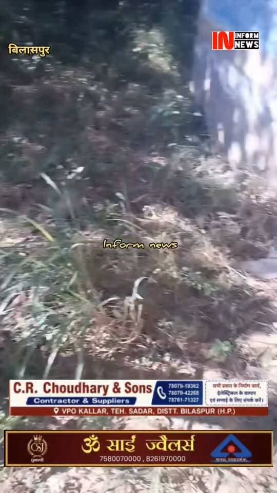 बिलासपुर में सरकारी संपत्ति पर चोरों का निशाना! कचौली पंचायत के पंप हाउस से लाखों की चोरी की सूचना, क्षेत्र में बढ़ती वारदातों से दहशत
चिल्ला गांव में गंभरोला खड्ड से जुड़ी सिंचाई जल योजना के पंप हाउस में चोरी का मामला आया सामने, पूर्व वार्ड सदस्य वीरेंद्र सिंह ठाकुर ने प्रशासन से उठाई सख्त कार्रवाई की मांग