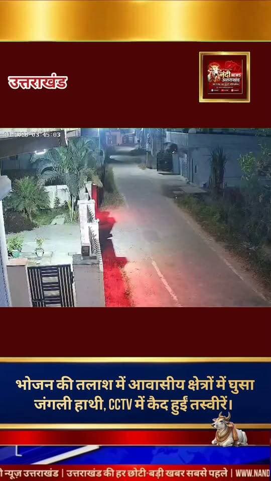 खाद्य संकट के कारण रिहायशी इलाकों की ओर बढ़ रहे जंगली हाथी, सीसीटीवी में कैद हुई भोजन तलाशते गजराज की तस्वीरें।
उत्तराखंड जंगलों में प्राकृतिक खाद्य आपूर्ति और वनस्पति के लगातार कम होने के कारण वन्यजीवों का रुख अब शहरी और ग्रामीण आबादी वाले क्षेत्रों की तरफ तेजी से बढ़ रहा है। इसी कड़ी में एक ताजा और चिंताजनक मामला सामने आया है, जहाँ भोजन की तलाश में भटकता हुआ एक जंगली हाथी रिहायशी इलाके में दाखिल हो गया। हाथी के इस तरह अचानक आबादी वाले क्षेत्र में आ जाने से स्थानीय निवासियों के बीच भारी दहशत और भय का माहौल बना हुआ है।
यह पूरी घटना क्षेत्र में लगे एक सीसीटीवी (CCTV) कैमरे में कैद हो गई है। वायरल हो रहे फुटेज में साफ देखा जा सकता है कि विशालकाय हाथी भोजन की तलाश में रिहायशी परिसरों के बेहद करीब घूम रहा है। वह अपनी भूख मिटाने के लिए वहाँ बने घरों के आस-पास भोजन ढूंढने की कोशिश कर रहा है और पास के खेतों में लगी फसलों को भी टटोल रहा है। वन्यजीव विशेषज्ञों का मानना है कि जंगलों में मानवीय हस्तक्षेप और चारे की कमी के चलते 'मानव-वन्यजीव संघर्ष' (Human-Wildlife Conflict) की घटनाएं लगातार बढ़ती जा रही हैं। स्थानीय ग्रामीणों ने वन विभाग से इस क्षेत्र में गश्त बढ़ाने और सुरक्षा के पुख्ता इंतजाम करने की मांग की है ताकि किसी भी तरह की अप्रिय घटना या जान-माल के नुकसान को रोका जा सके।