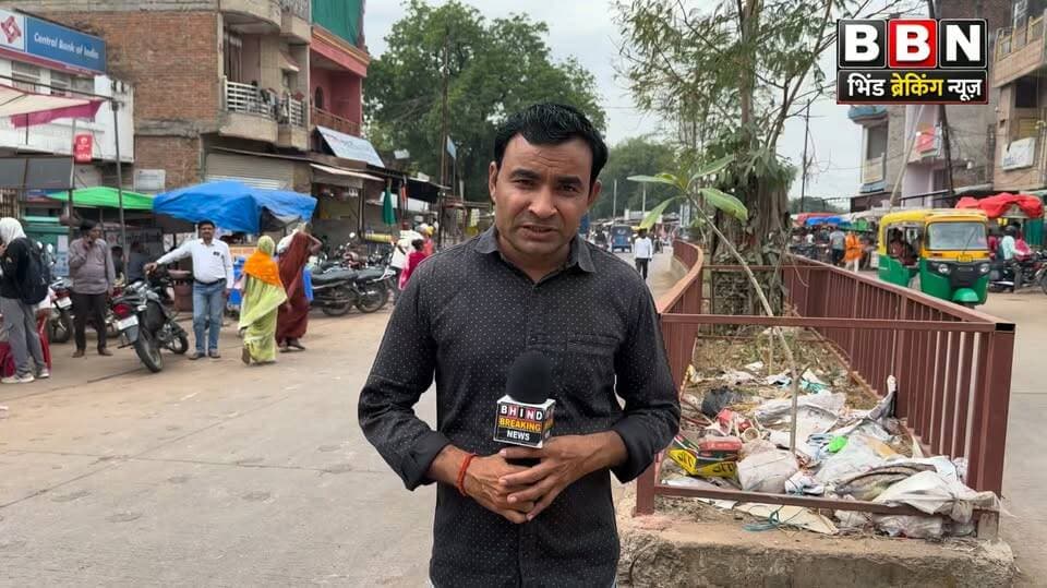 गोरमी नगर परिषद की अनदेखी! डिवाइडर पर कचरे का अंबार, देखरेख के अभाव में सूख रहे पेड़