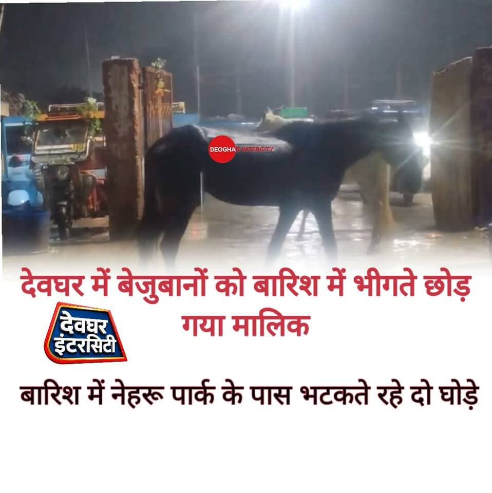 जिस बेजुबान के सहारे रोजी-रोटी चलती है बारिश में उन्हीं बेजुबानों को यूं ही छोड़ देते हैं मालिक