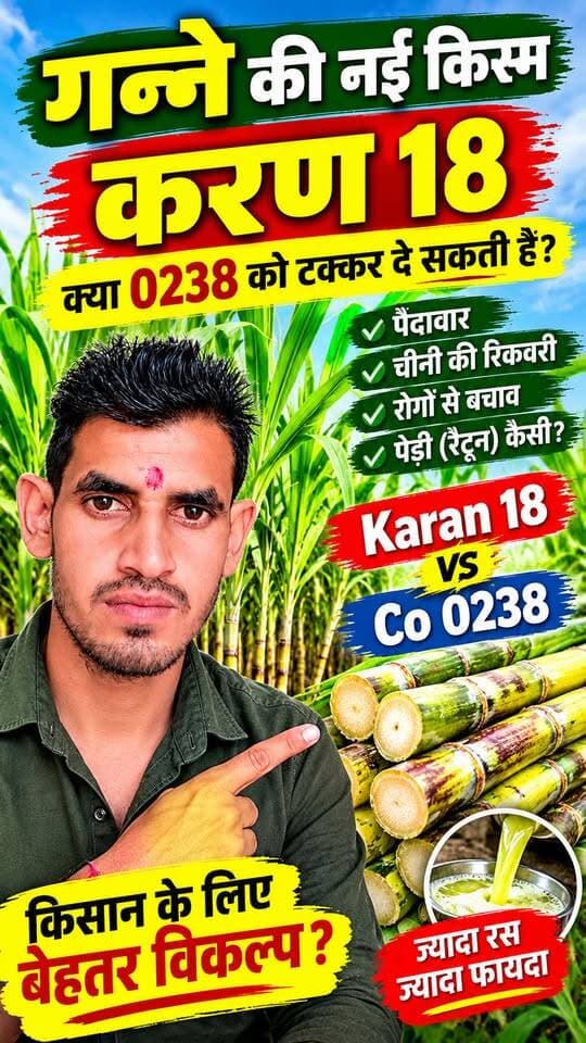 करण 18 गन्ने की नई किस्म 🔥 क्या Co 0238 को देगी टक्कर? | Karan 18 Sugarcane Variety
#gannekikheti #Karan18 #Co0238 #GanneKiKheti #SugarcaneFarming #SugarcaneVariety