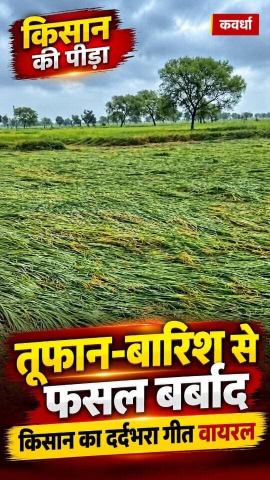 कवर्धा में अर्नब तूफान और बारिश ने किसानों की चिंता बढ़ा दी है। फसलों को हुए नुकसान के बीच किसान जे.एल. वर्मा का दर्दभरा गीत सोशल मीडिया पर वायरल हो रहा है। खेत में बर्बाद होती फसल देखकर किसान ने गीत के जरिए अपना दर्द बयां किया है। अब किसानों को फसल नुकसान के सर्वे और मुआवजे की उम्मीद है।
#kawardha #korba #chhattisgarhupdate24 #viral #news