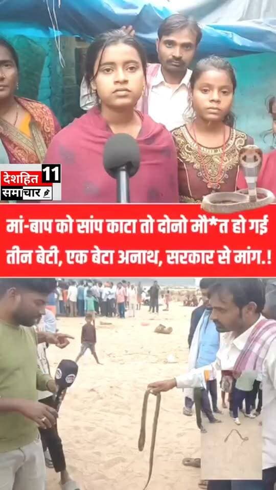 सिर्फ के डसने से पति-पत्नी की हुई मौ*त