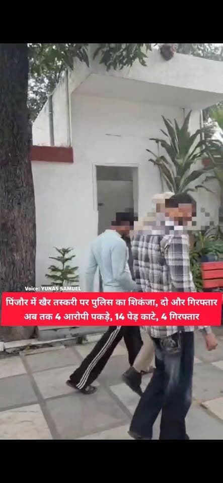 खैर के पेड़ों पर चली आरी, वन दरोगा से भी भिड़े आरोपी, अब 4 गिरफ्तार
पिंजौर में अवैध खैर कटाई का मामला गरमाया, पुलिस ने पहले दो, अब दो और गिरफ्तार किए
#pinjore #kalka #panchkula #haryana #news #HaryanaNews #panchkulanews #HaryanaNewsUpdate #police #haryanapolice #forest