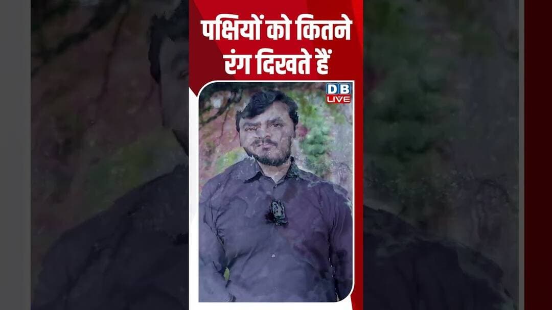 पक्षियों को कितने रंग दिखते हैं #breakingnews #latestnews #shortvideos #dblive
