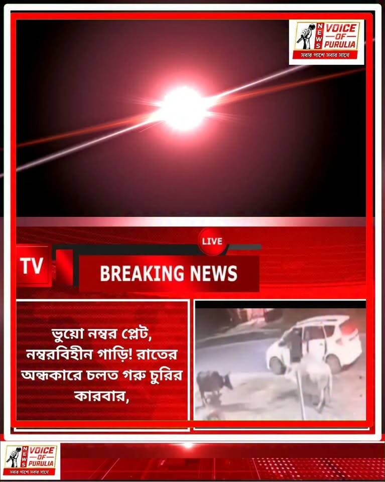 ভুয়ো নম্বর প্লেট, নম্বরবিহীন গাড়ি! রাতের অন্ধকারে চলত গরু চুরির কারবার, দেখুন সেই গাড়ি পুলিশের জালে।।