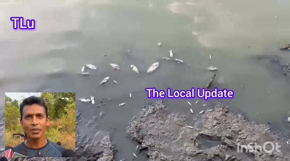 ପୋଖରୀ ନା ତେଲ କଡ଼େଇ, ଛଟ ପଟ ହେଇ ମରିଗଲେ ମାଛ #Malkangiri #fish #death #Odisha #fishing #heatwave #sunset #fish #temperature #NewsUpdate #MalkangiriNews #fishfry #fisherman #fishfarming #fishing #newsfeed #newstoday