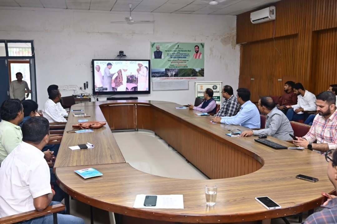 विस्तार शिक्षा संस्थान नीलोखेड़ी में पीएम-किसान उत्सव दिवस का आयोजन
नीलोखेड़ी/ करनाल, 30 अक्तूबर। । चौधरी चरण सिंह हरियाणा कृषि विश्वविद्यालय के विस्तार शिक्षा संस्थान, नीलोखेड़ी द्वारा कुलपति, प्रोफेसर बी. आर. काम्बोज के कुशल नेतृत्व व मार्गदर्शन तथा डा. नरेश कौशिक, निदेशक (विस्तार शिक्षा) के दिशा निर्देशन व केंद्रीय कृषि एवं किसान कल्याण मंत्रालय के आदेशानुसार पीएम-किसान उत्सव दिवस का आयोजन किया गया। इस अवसर पर संस्थान के प्रशिक्षण हॉल में आयोजित विशेष सत्र के दौरान वैज्ञानिकों एवं कर्मचारियों सहित विस्तार अधिकारियों द्वारा माननीय प्रधानमंत्री श्री नरेंद्र मोदी के गुजरात के बनासकांठा (भीलड़ी) से आयोजित राष्ट्रव्यापी कार्यक्रम का सीधा प्रसारण देखा और सुना गया।
इस दौरान सभी ने माननीय प्रधानमंत्री द्वारा ‘प्रधानमंत्री किसान सम्मान निधि' (पीएम-किसान) योजना की 24वीं किस्त जारी किए जाने के ऐतिहासिक क्षण का सीधा अवलोकन किया। इस अवसर पर प्रधानमंत्री ने 9.34 करोड़ से अधिक पात्र किसान परिवारों के बैंक खातों में 18,680 करोड़ रुपये की सम्मान राशि सीधे डीबीटी (डायरेक्ट बेनिफिट ट्रांसफर) के माध्यम से हस्तांतरित की। इसके अतिरिक्त, उन्होंने अन्य कृषि योजनाओं का उद्घाटन करते हुए किसानों और पशुपालकों की आय बढ़ाने के लिए आधुनिक तकनीक अपनाने पर बल दिया।
सत्र के समापन पर डा. सत्यकाम मलिक ने कहा कि पीएम-किसान योजना देश के अन्नदाताओं को आर्थिक संबल प्रदान करने का एक उत्कृष्ट उदाहरण है। कार्यक्रम के दौरान डा. सुख राम वर्मा, डॉ. अनिल कुमार रोहिला, डा. अजय कुमार सहित सभी कर्मचारी व प्रतिभागी मौजूद रहे।